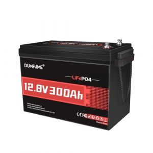 Dumfume Batterie Lithium 12V 300Ah Lifepo4 - BMS 200A, 3840Wh, Batterie Lithium Fer Phosphate Rechargeable Pour Stockage D'éNergie Solaire, Alimentation De Secours, Camping-Car, Camping (Dumfume-US, neuf)