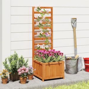 GOPLUS Jardini&egrave;re avec Treillis, Brise Vue Jardin avec Bac &agrave; Plantes en Bois de C&egrave;dre avec Treillage Vertical, et Bac Profond, Potager Sur&eacute;lev&eacute; Ext&eacute;rieur pour Plantes Grimpantes, Fleurs et Verdure (Augenstern24, neuf)