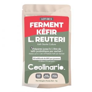 Coolinario L Reuteri Ferment Kéfir (5 Sachets de 1g) Cultures Vivantes avec Probiotiques | Crémeux & Acidulé | Sans OGM, Sans Conservateurs, Sans Gluten | Halal, Kasher (Coolinario, neuf)