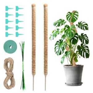 Gr&uuml;nWerk 2 Pi&egrave;ces Tuteur Monstera, 60cm Pliable Tuteur Plante Grimpante, pour Maison Jardin De Plante Grimpantes Support Fibre De Coco Plante Accessoires Inclus (Muxi Nicey, neuf)