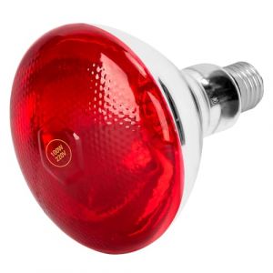 Zrwuldu Infrarouge Ampoule chauffante 100w Ampoules infrarouges lampe chauffante infrarouge pour la maison (Oyase, neuf)