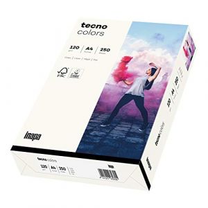inapa Tecno Colors Lot de 250 feuilles de papier color&eacute; 120 g/m&sup2; Blanc naturel Format A4 (versando&reg;, neuf)
