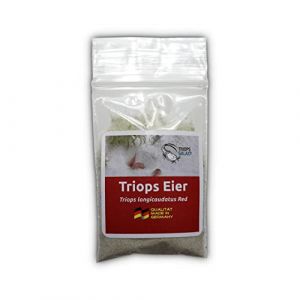 Triops Galaxy Triops longicaudatus rouge - Cancer préhistorique - Élevage de triops - Oeufs Triops avec instructions de l'élevage en français à télécharger (minin 50 oeufs) (Triops Galaxy, neuf)
