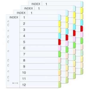 OWill Intercalaires Classeur A4 12 Couleurs - Pack de 4 Sets avec Étiquettes Alphabétiques, 11 Trous pour Classeurs 2/3/4 Anneaux, Carton Épais Organisation Bureau (KOVÁCS EUROPA TRADING Kft., neuf)