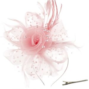 AOWVUTS Fascinator Chapeau Plume Mariage Dames Day Bandeau et Clip Fascinator Chapeau Fleur Maille Plume Dentelle avec Barrett Chapeaus Fascinateur Voile Cocktail Tea Party Chapeaus pour Femme (F, Un) (Foshan City Dange Auto Co., neuf)