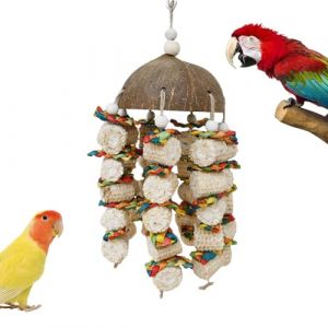 Jouets pour Oiseaux en Coquille de Noix de Coco, Jouets à mâcher pour Perroquet | Jouets de Perroquet en Coquille de Noix de Coco en épi de maïs pour Grands Oiseaux - Jouets à Suspendre pour nichoir, (feretazm, neuf)