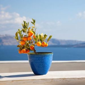 Jinfa 1 Pot de Fleurs en Plastique Effet c&eacute;ramique &eacute;maill&eacute;e | Jun Glaze Bleu | Santorini Design | &Oslash; 39,5 cm x 33,5 cm (HDhomeart, neuf)