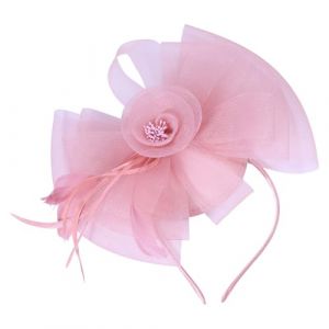 GLOBLELAND Bandeau en Voile en Maille avec Pinces à Cheveux Fascinators Bandeau en Voile en Maille avec Plume pour Femmes Chapeau de Cocktail Mariage de Mariée Tea Party Occasions (GLOBLELAND FR, neuf)