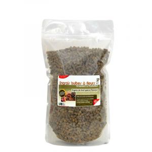 Agro Sens Engrais bulbes &agrave; Fleurs d&rsquo;Ornement et de Production Sachet 1 kg (COMPTOIR DES JARDINS, neuf)