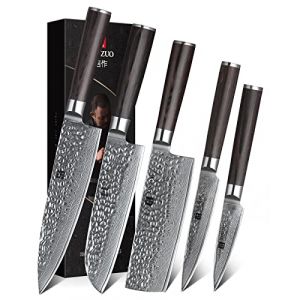 XINZUO 5 Pièces Ensemble de Couteaux de Cuisine Finition Martelée 67 Couches Acier Damas Tranchant Couteau de Chef Santoku Nakiri Universel Fruits Couteaux professionnels -Poignée en Bois de Pakka (XIN ZUO, neuf)