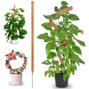 Tuteur Plante Pliable - Tuteur Plante Grimpante - Tuteur Monstera - 70 cm - en Fibre de Coco, Flexible, pour Plantes grimpantes d'int&eacute;rieur - id&eacute;al pour Soutenir et Guider la Croissance des Plantes (Dandestore, neuf)