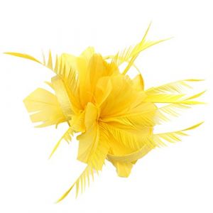 Bibi à cheveux pour invités de mariage, chapeau bibi en maille fleurie pour mariage et courses, bibi à plumes rétro tendance élégant en maille pour mariage (fhjvbt, neuf)