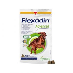 Flexadin Advance Chondroprotecteur pour chien (Petcuore, neuf)