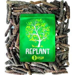 REPLANT - Poivre Long de Java 100g - Grand Cru de Java 2025 - Poivre Entier pour Moulin - Sachet Recharge Moulin FreshZIP (REPLANT 1% FOR THE PLANET, neuf)
