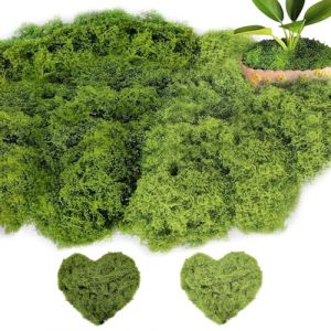 HhBdy Mousse Artificielle pour décorer 200g Fausse Mousse Végétale Mousse Décorative Mousse Stabilisée aux Compositions Florales Plantes artificielles pour Noël et la décoration Murale dans la Maison (Vastness Universe, neuf)