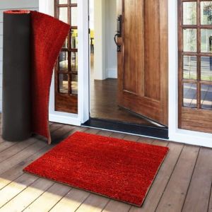 casa pura Paillasson d'entrée en Fibre de Coco Premium,Tapis de Porte antidérapant,Tapis d'entrée Usage intensif,Tapis pour entrée Absorbant,Dense Velours Résistant (23 mm-200x200 cm Rouge) (Velvet Trading, neuf)