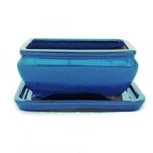 Bonsa&iuml; Bol avec sous assiette Taille 2 &ndash; Bleu &ndash; Rectangulaire &ndash; Mod&egrave;le G81 &ndash; L 14,5 cm &ndash; B 11,3 cm &ndash; H 6,6 cm (Exotenherz, neuf)