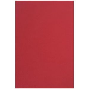 Netuno 25x carton de bricolage bordeaux A4 210x 297 mm 160g Circolor Tulip carton de couleur carton recyclé carton décoratif coloré carton d'impression papier de bureau pour brochures DIY décoration (netuno, neuf)