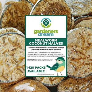 GardenersDream noix de coco fourrées aux vers de farine fraîches et goûteuses | Nourriture fraîche pour oiseaux sauvages pour le jardin (Pack de 10) (Gardener's Dream Ltd, neuf)