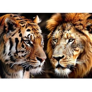 QENSPE Diamond Painting Tigre, 5D Peinture Diamant Adulte Lion Broderie de Diamant Complet Bricolage Diamonds Art Full Drill D&eacute;coration Murale Maison - 30x40cm (ZHIDIKA, neuf)