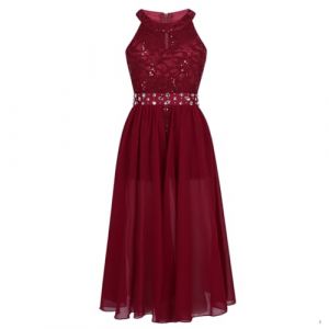 iiniim Robe De Cérémonie Soirée Enfant Fille Demoiselle d'honneur Mariage Robe De Baptême Anniversaire Mousseline sans Manches 6-16 Ans Bourgogne 12 Ans (yunduantong, neuf)