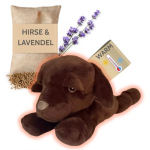 Habibi Premium MIDI Deluxe 2042 Mini Labrador Coussin chauffant en peluche pour b&eacute;b&eacute;s et enfants Rembourrage amovible en millet Pour r&eacute;chauffer au micro-ondes Convient &eacute;galement aux adultes (Labrador) (TOPANBIETER999, neuf)