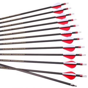 12pcs 30-Pouces 400-Spine Fl&egrave;che Pointe Amovible Fl&egrave;che de Ciblage Fl&egrave;che de Chasse Fl&egrave;che de Sport 2" Plume en Plastique Fl&egrave;ches en Carbone pour Arc Recurve Arc &agrave; Poulies Tir &agrave; l&rsquo;Arc Rouge (Old Mike's Archery Shop, neuf)