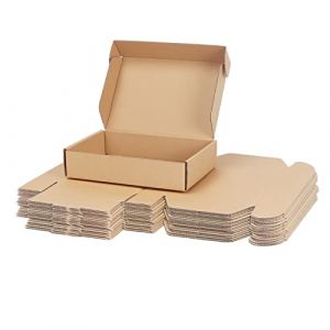 RLAVBL Lot de 25 Cartons Emballage Colis 22.9x15.3x5.1 cm, Petites Bo&icirc;tes d'Exp&eacute;dition Marron pour Le stockage, Le transport, L'exp&eacute;dition, L'emballage (ArtersEU, neuf)