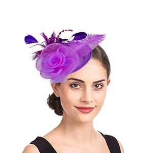 Épingles à cheveux Femme Accessoires Coiffure Mariage Chapeau Bibis Fascinator Bride Voilette en Maille Élégantes Serre-tête pour Cocktail Mariage Cérémonie Photographe Fête Soirée Déguisement (IBlueloveruk, neuf)