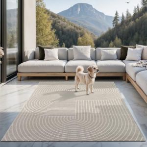 the carpet Santo Plus – Tapis d'extérieur de Haute qualité, adapté au Salon, à la Chambre et à la terrasse, résistant aux intempéries, Durable et Facile d'entretien, Beige, 300 x 400 cm (the carpet, neuf)