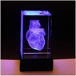 Modèle anatomique en forme de cœur humain en cristal, presse-papier 3D, cube en verre de cristal, cadeau scientifique souvenir base LED, ornements médicaux personnalisés pour médecins et étudiants (6 (Ailibuli, neuf)