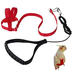 Harnais réglable pour Perroquet Laisse pour Animal Domestique Corde Anti-Morsure Sangle élastique pour Oiseaux perroquets cacatoès aras (Yanmucy, neuf)