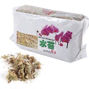Kuuleyn Mousse de sphaigne à Fibres Longues ， 6L de Mousse de sphaigne de Jardin hydratant Nutrition Engrais Organique pour orchidée Phalaenopsis (mieasot, neuf)