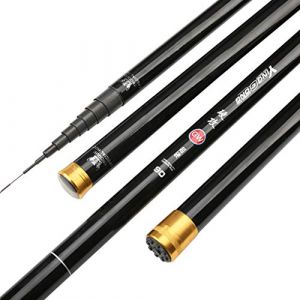 EATAN Carbon 8m 9m 10m 11m 12m 13m Power Hand Pole Angelrute Ultra Hard Super Light Teleskopstange Stick Ersatzspitze 06.05 (Size : 13m)… (ESHLEY, neuf)