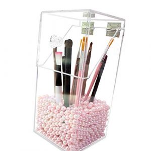 ZJchao Makeup Brush Bold Lipstick Porte-toile de Rangement de Pinceau de Maquillage en Acrylique avec Couvercle Flip étanche à Poussière pour les Outils de Maquillage Organisateur de (Comme montré) (salmueu, neuf)
