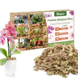 Riare 100g Sphaigne pour Plante Naturelle Compressé Sphaigne pour Orchidées Mélange pour Pot - pour la Culture de Plantes à la Maison,Fée Jardins (100g) (YLGA, neuf)