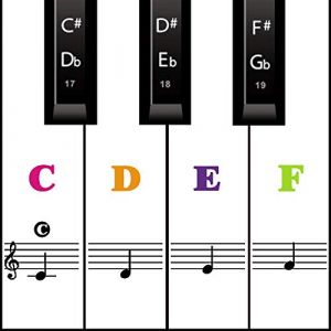 Autocollants pour notes de pian,Autocollants pour clavier de Piano debutant pour 54/61/76/88 touches. Notes autocollants pour piano pour touches blanches et noires. Transparent et amovible(Couleur) (ZhangPY-FR, neuf)