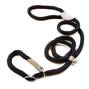 Souple Corde Laisse pour Chien 2 en 1 Collier Laisse de Dressage d'entra&icirc;nement Chien Lasso Sangle de Glissement &eacute;ducative Plomb Formation l'Ob&eacute;issance pour Petit Moyen Grand Chien (S, Noir -1.5M) (feiling, neuf)