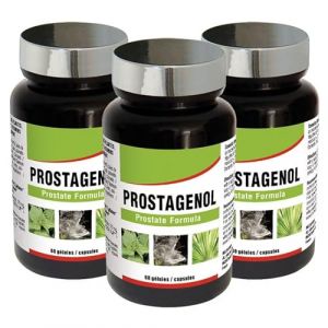 NUTRI EXPERT - Prostagenol - Maintien de la sant&eacute; du syst&egrave;me urinaire et du fonctionnement de la prostate - baies de Sabal, Epilobe, Ortie, Zinc & vitamine E - Lot de 3 produits (Parabio Sant&eacute;, neuf)