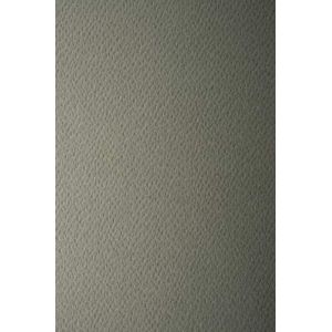 Netuno 10x papier couleur gris A3 297x420mm Prisma Piombo 220g papier cartonn&eacute; gaufr&eacute; une face papier d&eacute;coratif pour imprimantes d&eacute;coration scrapbooking invitations bricolage cartes de v&oelig;ux (netuno, neuf)