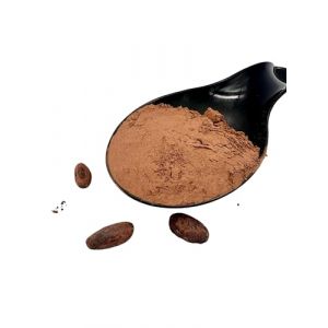 Poudre de cacao crue Criollo 20 g &ndash; 4,9 kg Theobroma Cacao (4900 g) (GreekHerbay, neuf)