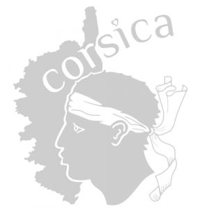 Sticker Corse, Stickers Auto Corsica, Autocollant Tete de Maure, Vinyle haute performance pour Voiture (11 x 12 cm, argent) (tmz-creation, neuf)