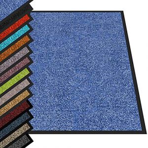 casa pura - Tapis Entrée Intérieur Rhine - Tapis Antidérapant et Anti-salissures - Paillasson de propreté Interieur et extérieur - Tapis de Porte Lavable et Ultra Absorbant (Bleu 200x400 cm) (Velvet Trading, neuf)