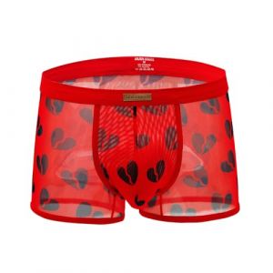 Casey Kevin Boxer Homme Transparent Boxer Sexy Homme Lingeries Mesh sous-vêtements (Casey-Kevin, neuf)