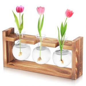 Fentar Station de Propagation, Propagation Station avec Socle en Bois, El&eacute;gant Station de Propagation pour Hydroponie, Vase Transparent pour Coupes Bouture de Fleurs D&eacute;coration de Bureau o Maison Tabl (FtrsTrade, neuf)