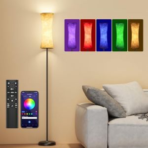 Amedelne RGBW Lampadaire Sur Pied Salon avec Télécommande, Bluetooth APP Contrôle, Lampadaire Dimmbable Modern, L'abat-jour en tissu, Lumière Ambiante pour Fête, Gaming Room Chambre d'enfant (Rond) (XXH-Light, neuf)