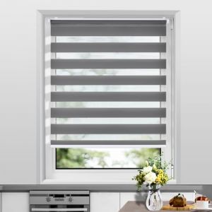 Allesin Store Enrouleur Jour Nuit sans Perçage, Facile à Installer avec Clips pour Fenêtre ou Porte, sans Chaîne, Tirez-Arrêtez sans Rebond, Rideau fiable et Pratique, 110l x 120L cm, Gris Foncé (Allesin FR Store, neuf)