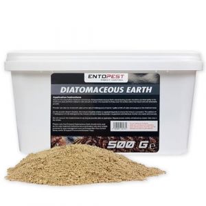 ENTOPEST - 500g de Terre de Diatomée en poudre - Destructeur de fourmis, de puces, d'insectes, de punaises de lit, de lépismes, d'insectes rampants, nuisibles et non-toxiques (Fort Products (UK), neuf)
