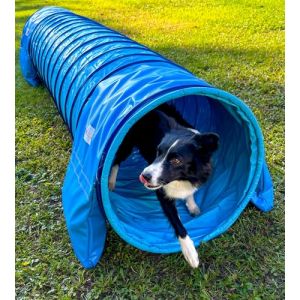 Callieway® Dog Agility Tunnel professionnel pour chien Appareil d'agilité (sacs de sable de soutien déjà inclus) (bleu ciel/cyan, 3 m) (Yorrxshire United GmbH, neuf)