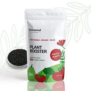 Florasoul® Plant Booster Engrais Universel Bio Vegan Pour Croissance, Fleur et Vitalité Engrais Universels 100% Soluble Engrais Bio Inodore pour Jardin et Balcon 500g/350l (Klimapartner, neuf)